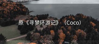 原《寻梦环游记》（Coco）
