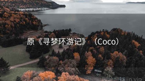 原《寻梦环游记》（Coco）