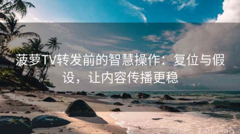 菠萝TV转发前的智慧操作：复位与假设，让内容传播更稳
