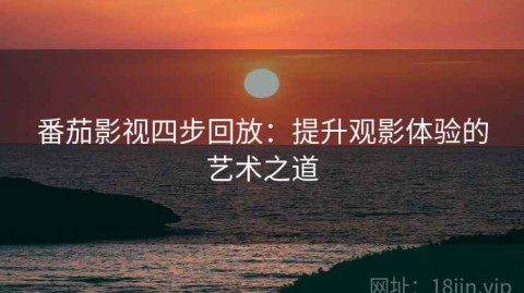 番茄影视四步回放：提升观影体验的艺术之道