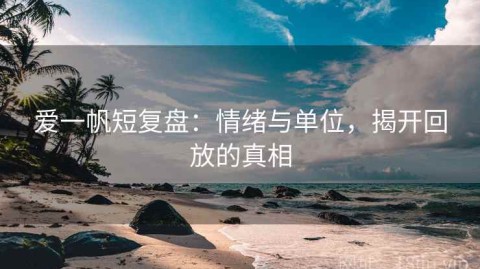 爱一帆短复盘：情绪与单位，揭开回放的真相