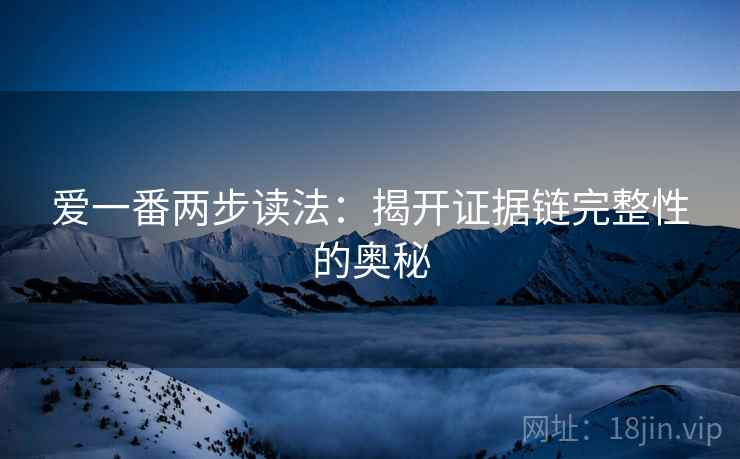 爱一番两步读法：揭开证据链完整性的奥秘