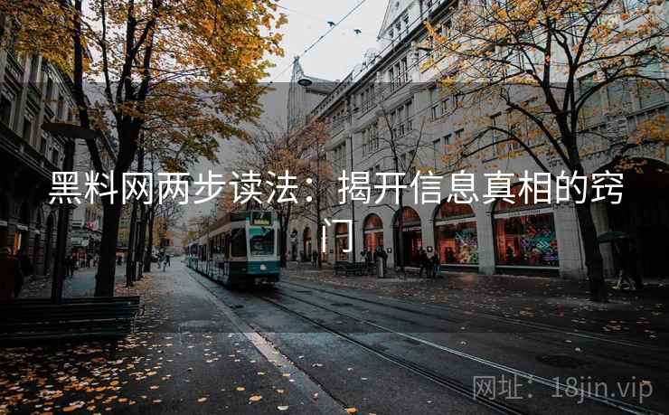黑料网两步读法：揭开信息真相的窍门