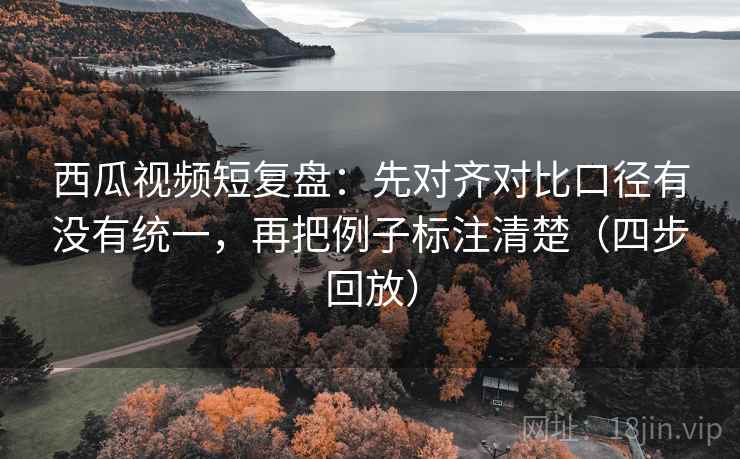 西瓜视频短复盘：先对齐对比口径有没有统一，再把例子标注清楚（四步回放）