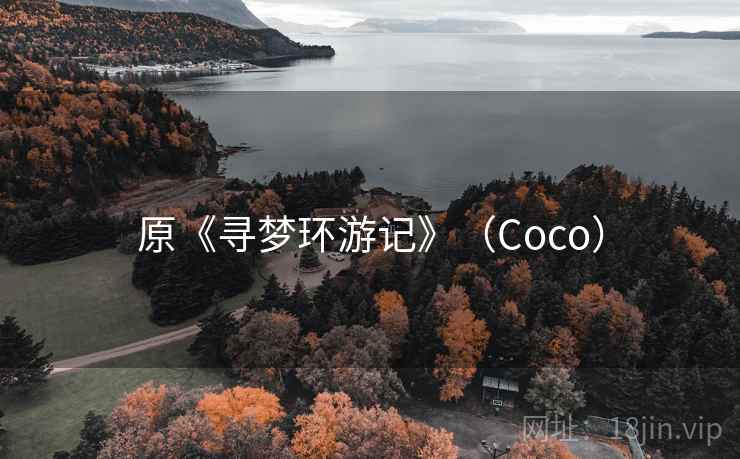 原《寻梦环游记》（Coco）